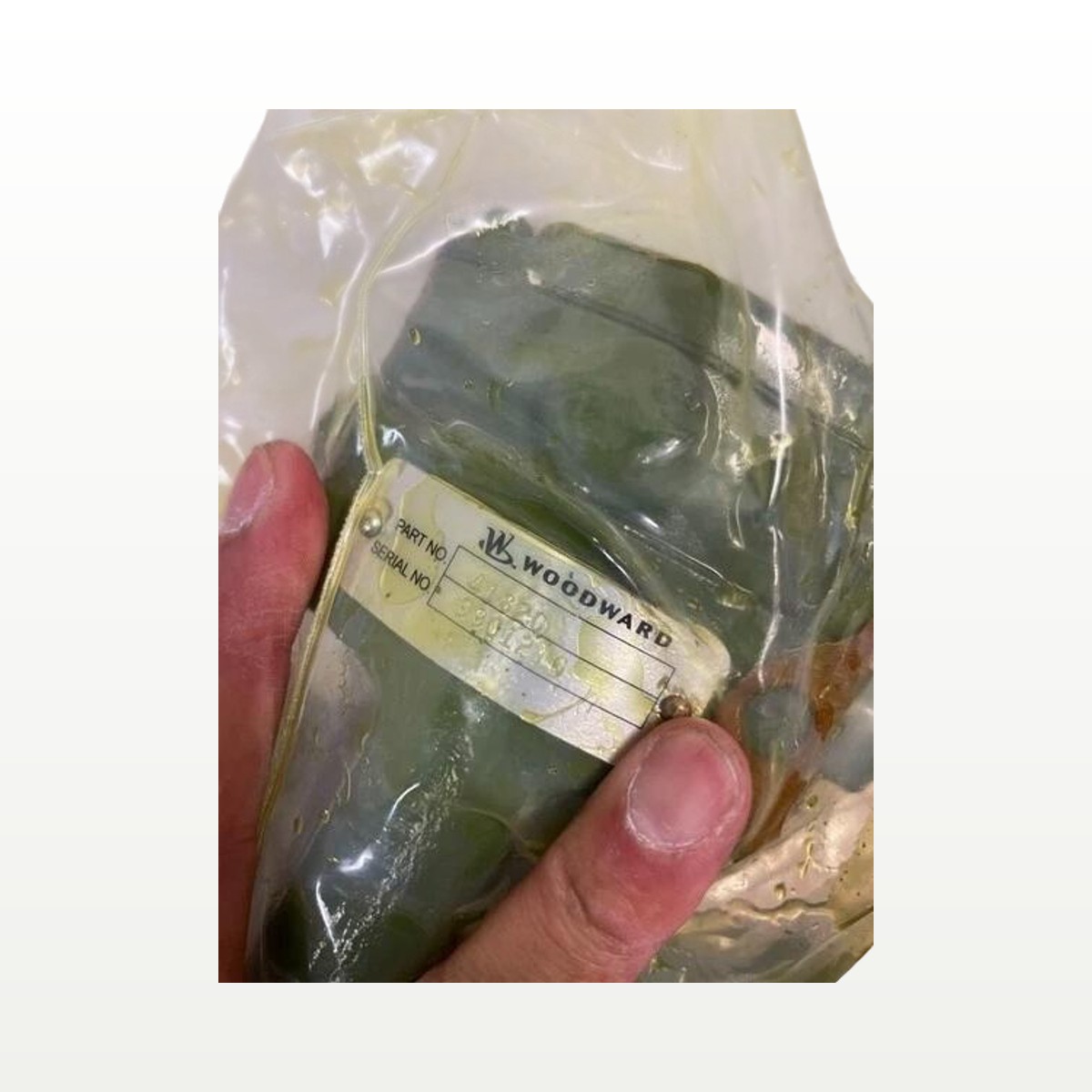 Woodward L-Series Mechanical Governor | 041820